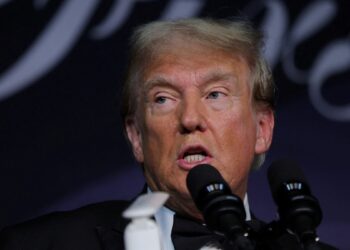 Donald Trump continúa sorprendiendo con sus elecciones para la
conformación de su gabinete.