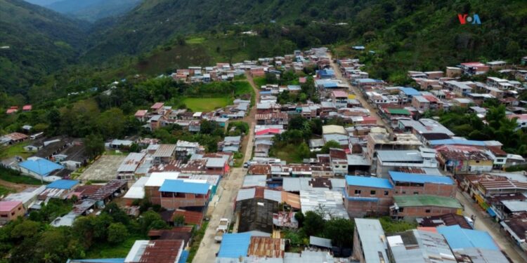 En Fotos | Excombatientes de las FARC producen buen café en apuesta por la paz