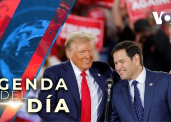 Marco Rubio sería el secretario de Estado de Donald Trump, según medios de comunicación