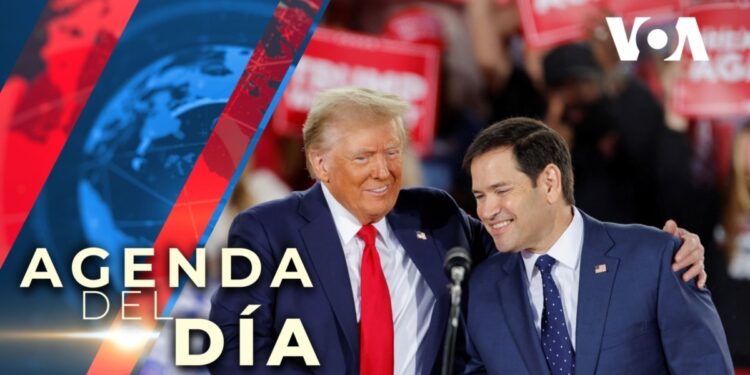 Marco Rubio sería el secretario de Estado de Donald Trump, según medios de comunicación