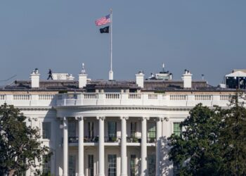 EEUU AL DIA | 11/06/2024