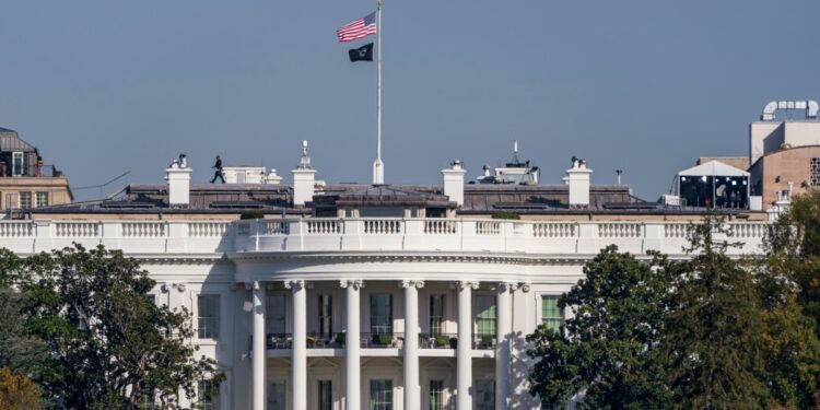 EEUU AL DIA | 11/06/2024