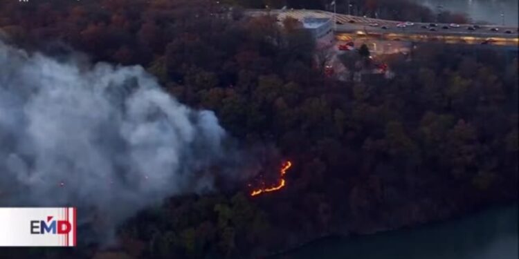 Arden bosques en Nueva York y Nueva Jersey