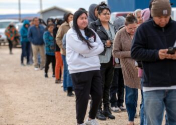 Sondeo AP: Economía es clave para los votantes, pero también les preocupa el futuro de la democracia
