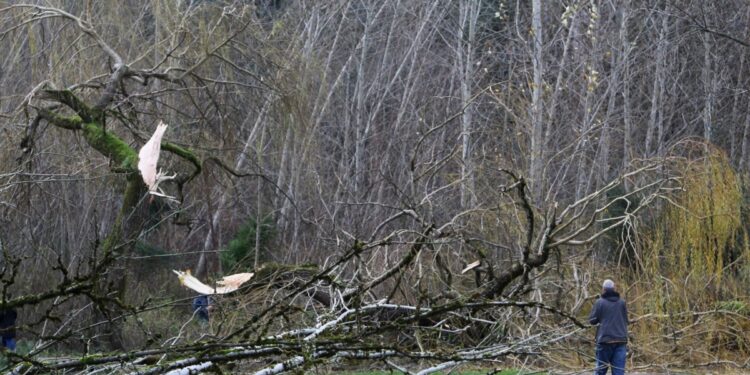 En Fotos | Dos personas muertas por fuertes lluvias en Washington. El temporal también afecta zonas de California