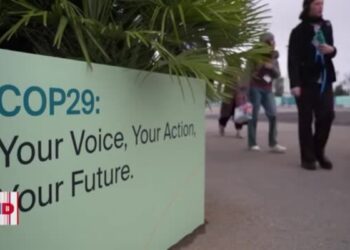 Países en desarrollo rechazan propuesta monetaria en cumbre climática de ONU