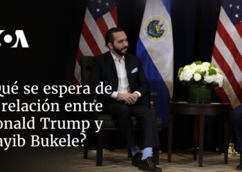 ¿Qué se espera de la relación entre Donald Trump y Nayib Bukele?