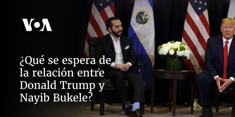 ¿Qué se espera de la relación entre Donald Trump y Nayib Bukele?