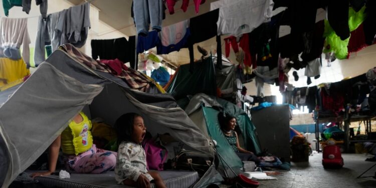 Desplazamiento y retornos, el ciclo que sufren indígenas en Colombia por el conflicto y la pobreza