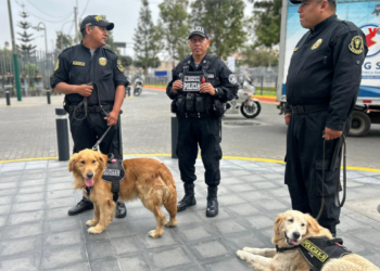 En fotos | Operativos de seguridad custodian Lima ante la llegada de presidentes al Foro de Cooperación Económica Asia-Pacífico