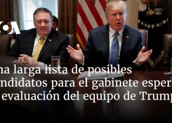 Larga lista de posibles candidatos para nuevo gabinete espera evaluación del equipo de Trump