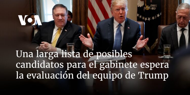 Larga lista de posibles candidatos para nuevo gabinete espera evaluación del equipo de Trump