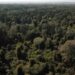 Noruega dona 60 millones de dólares al fondo brasileño para la preservación de la Amazonía