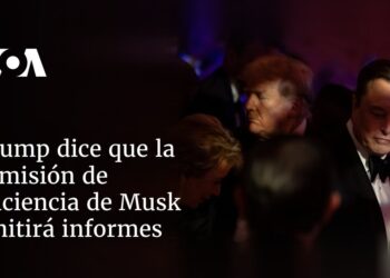 Trump dice que la comisión de eficiencia de Musk emitirá informes