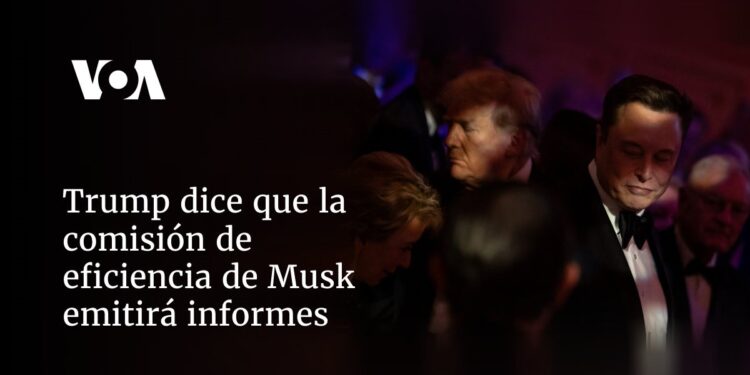 Trump dice que la comisión de eficiencia de Musk emitirá informes