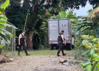 Horror en Ecuador: Hallan cuatro cuerpos torturados, decapitados y quemados entre fincas agrícolas en Ecuador