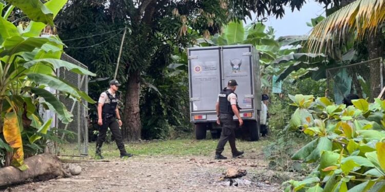 Horror en Ecuador: Hallan cuatro cuerpos torturados, decapitados y quemados entre fincas agrícolas en Ecuador