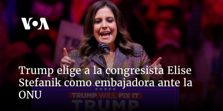 Trump elige a la congresista Elise Stefanik como embajadora ante la ONU