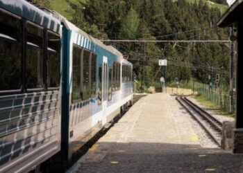 Cuatro Heridos A Hachazos En Una Pelea En Un Tren En Francia