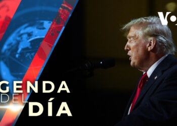 Tras ganar en varios estados clave, Donald Trump fue elegido presidente de EEUU