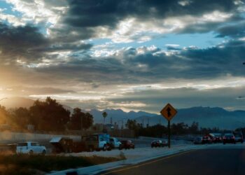 EEUU AL DIA |11/19/2024