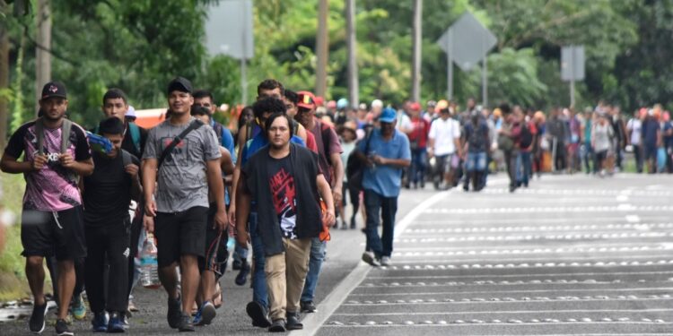 ¿Por qué no dejan de formarse las caravanas de migrantes a EEUU?