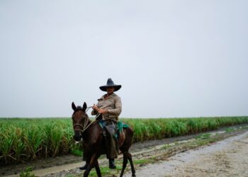 Declive de la industria azucarera es un reflejo de la crisis económica de Cuba