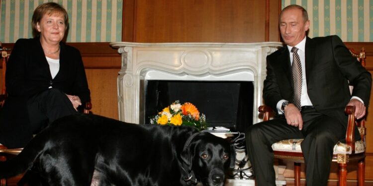 Putin niega haber intentado asustar a Merkel con su perro Koni