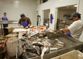 EEUU autoriza visas H-2B adicionales para trabajadores temporales en varias industrias