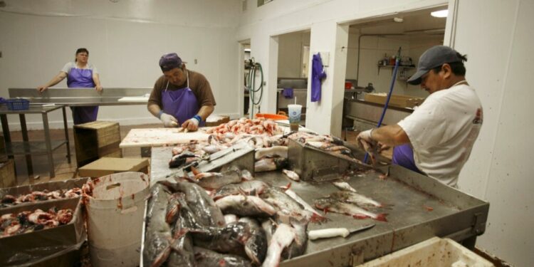 EEUU autoriza visas H-2B adicionales para trabajadores temporales en varias industrias