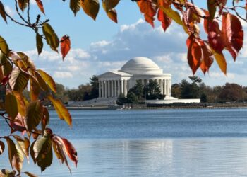 EEUU AL DIA | 11/12/2024