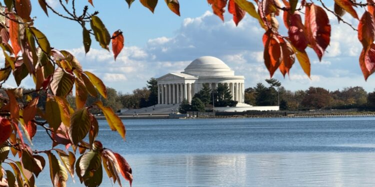 EEUU AL DIA | 11/12/2024