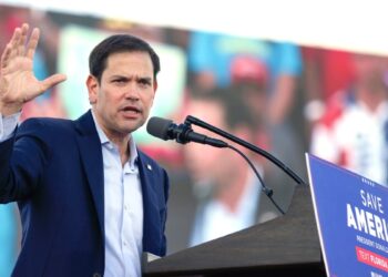 Trump elige al senador Marco Rubio como secretario de Estado: medios