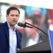 Trump elige al senador Marco Rubio como secretario de Estado: medios