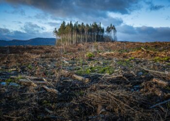 ONU: «Los países deben aumentar drásticamente su adaptación al cambio climático»