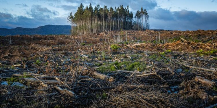 ONU: «Los países deben aumentar drásticamente su adaptación al cambio climático»