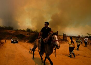 Detienen a otras cuatro personas por su presunta responsabilidad en megaincendio que devastó a Chile