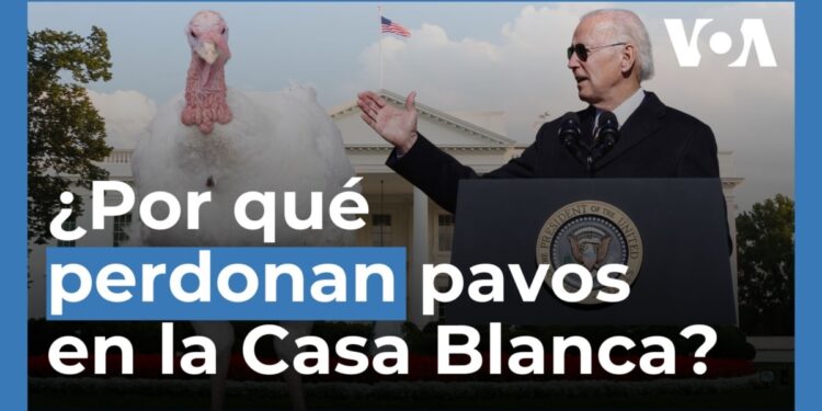 El perdón del pavo: por qué el presidente de EEUU concede este tradicional indulto
