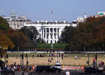 Avance Informativo 2:00 PM | 11/0/62024