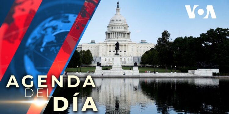 El presidente electo, Donald Trump, ganó la presidencia con el 50.9% del voto popular