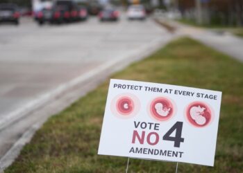 Iniciativa electoral de derecho al aborto en Florida no alcanza votos