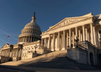 EEUU AL DIA | 11/15/2024