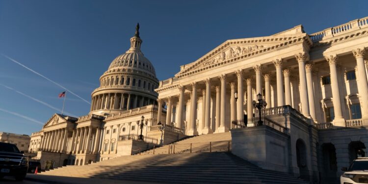 EEUU AL DIA | 11/15/2024