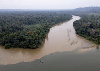 Detenidos dos empresarios y dos funcionarios por contrabando de oro en la Amazonía