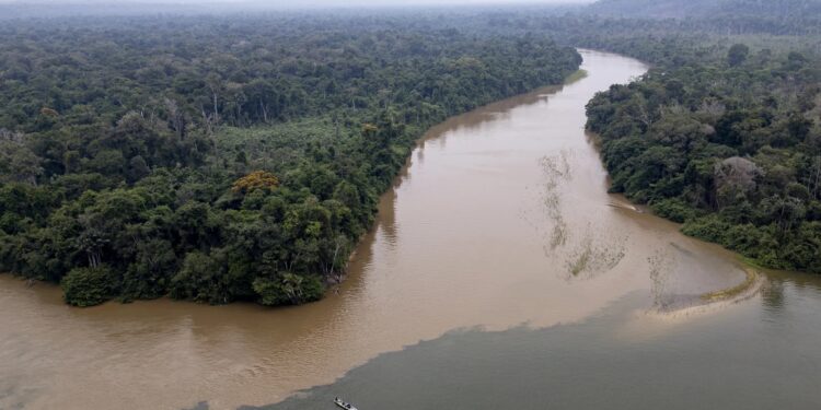 Detenidos dos empresarios y dos funcionarios por contrabando de oro en la Amazonía