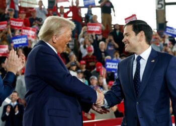 Reacciones a la posible designación de Marco Rubio como secretario de Estado