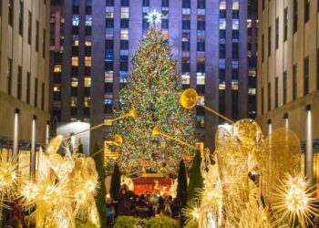 Ya fue elegido el árbol de Navidad que será encendido en el icónico Rockefeller Center