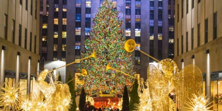 Ya fue elegido el árbol de Navidad que será encendido en el icónico Rockefeller Center