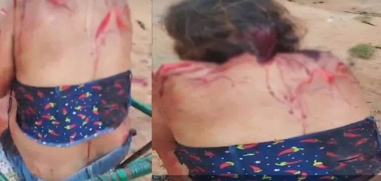 Horror en Monagas: Un tigre acabó con la vida de una persona y dejó a otra gravemente herida