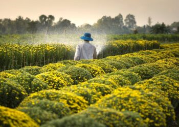 Informe revela que el 70% de jóvenes de América Latina trabajarán en áreas de servicios para el 2030